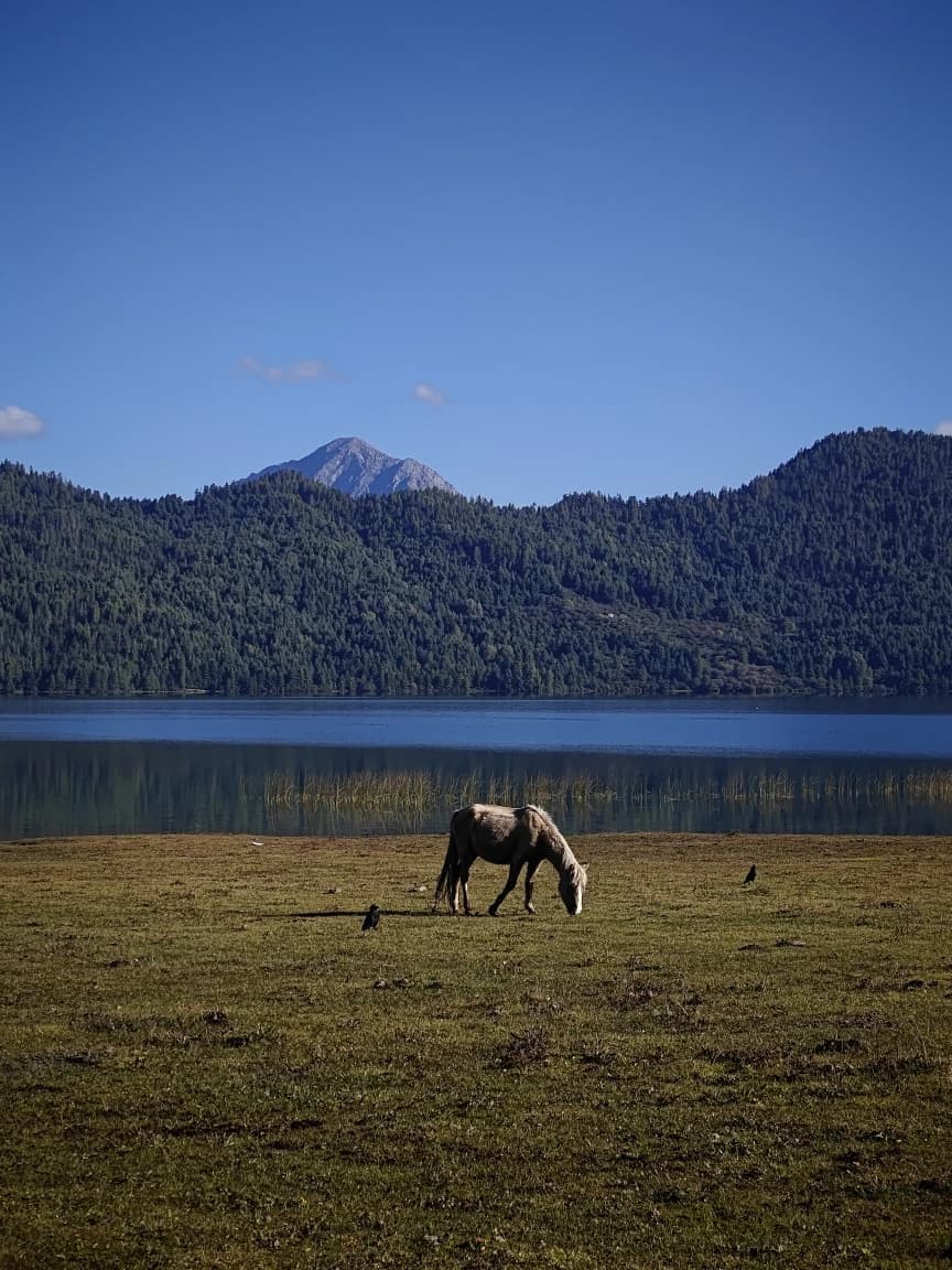 Rara Lake Tour Package photo 5