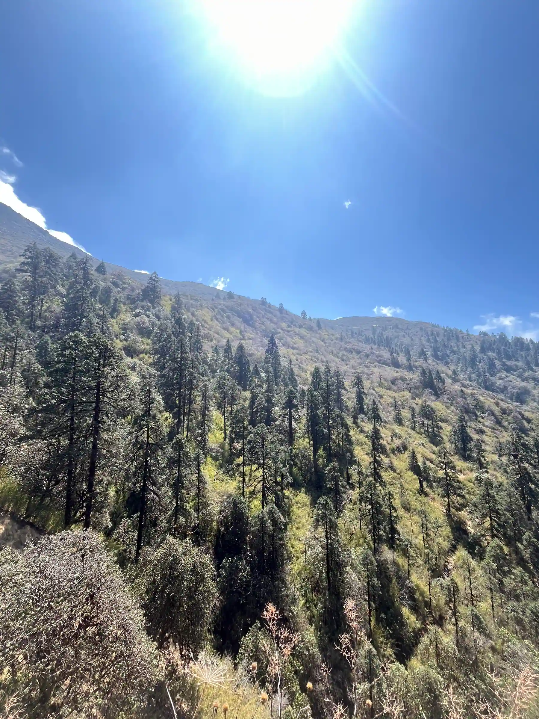Khopra Ridge Trek photo 5