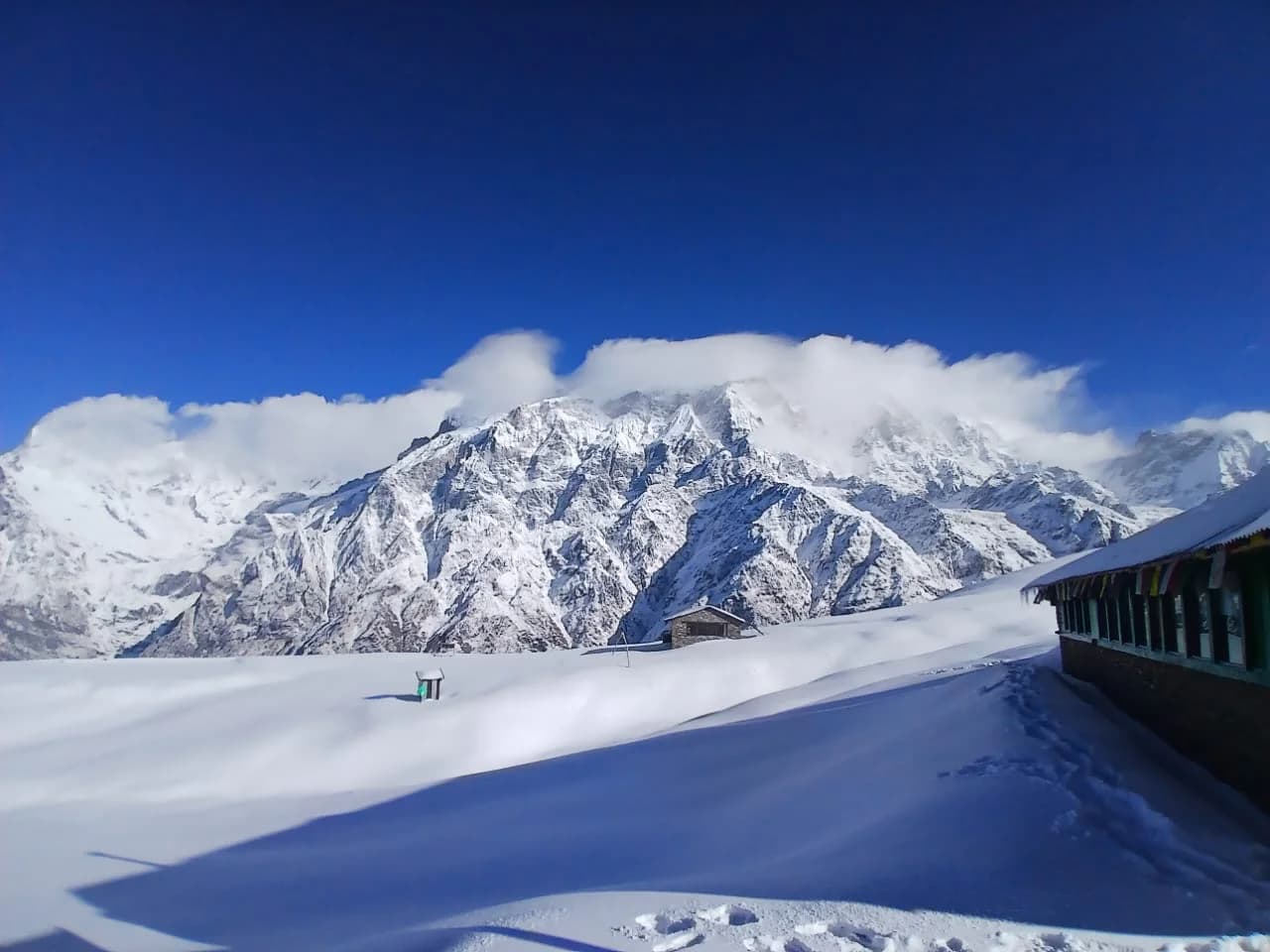 Kori Hill Trek