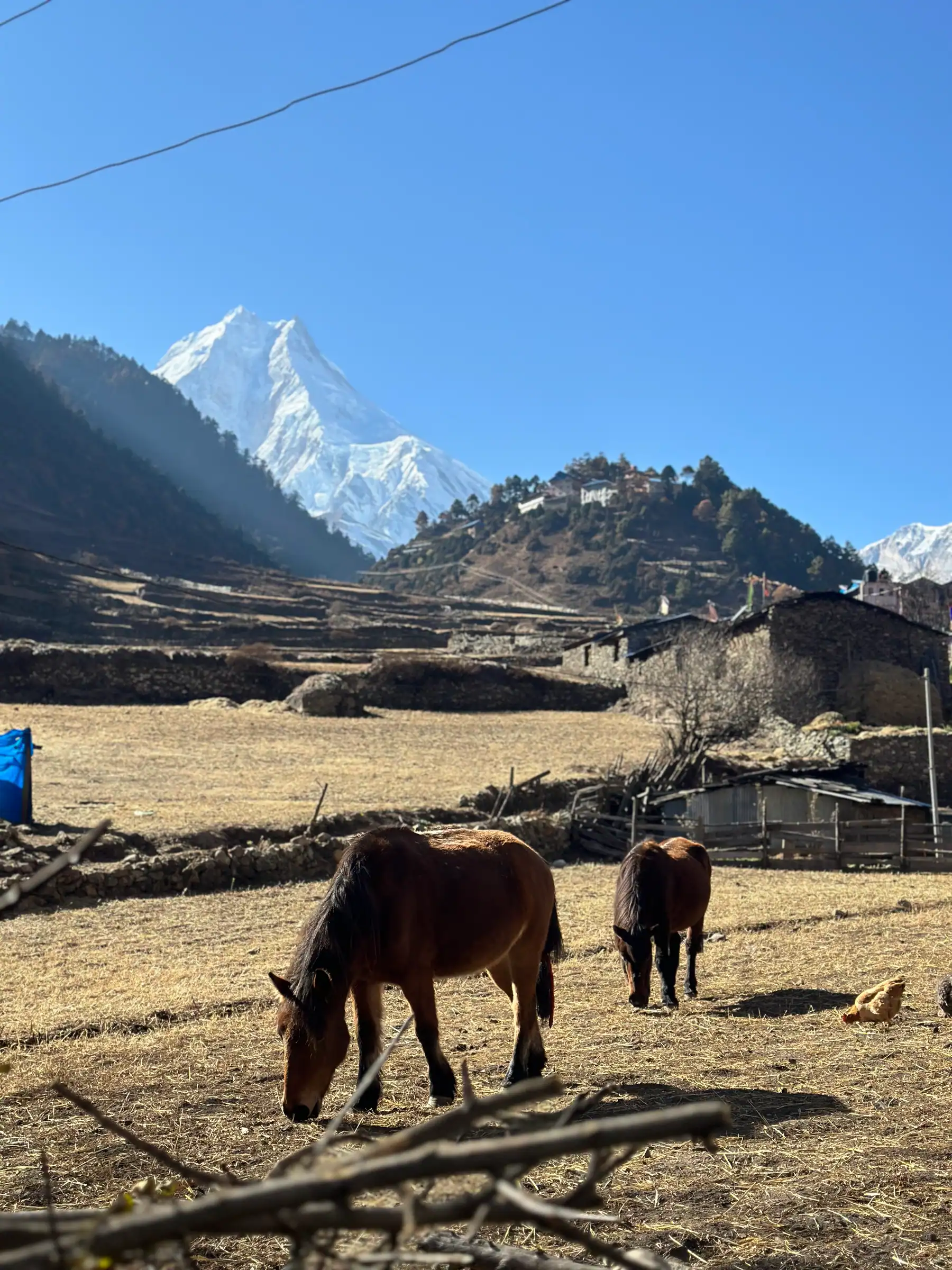 Manaslu Circuit Trek