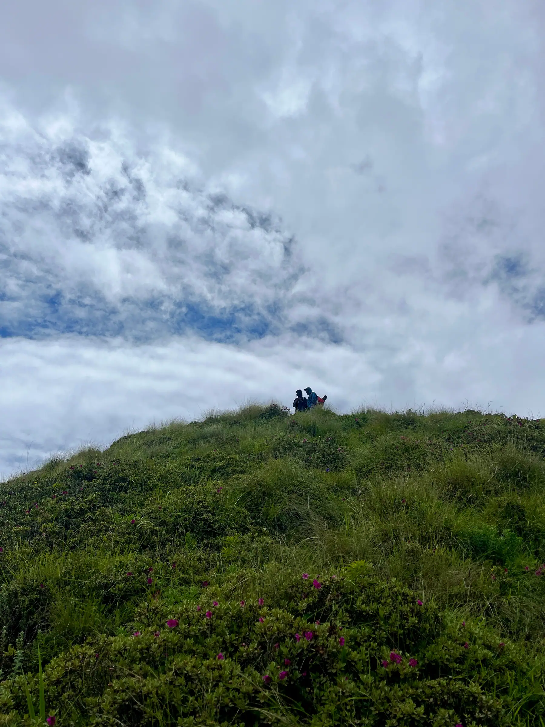 Marche Trek photo 3