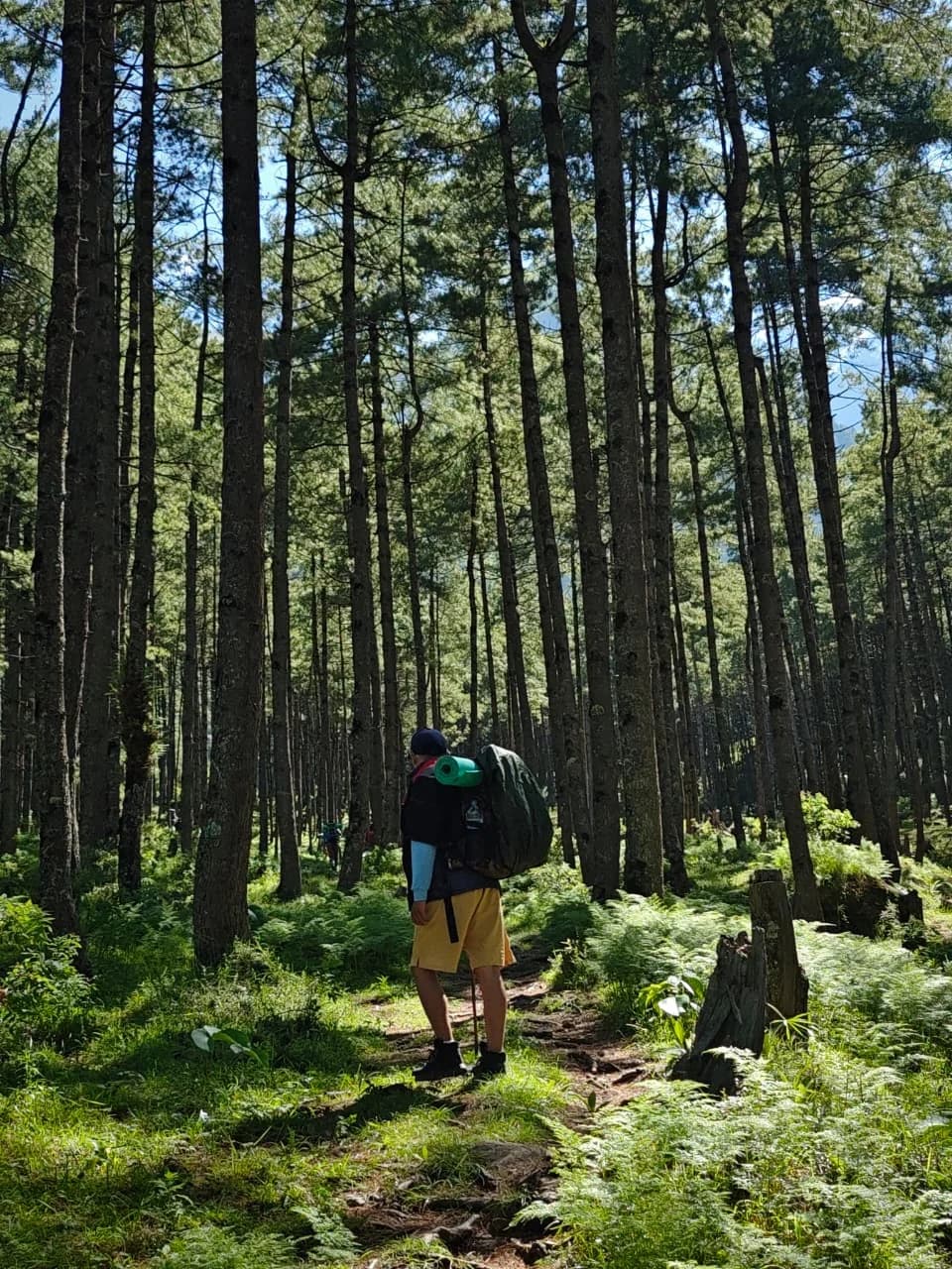 Marche Trek photo 5